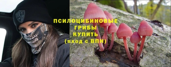 спиды Арсеньев