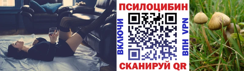 Псилоцибиновые грибы мухоморы mega ONION Каргополь цены